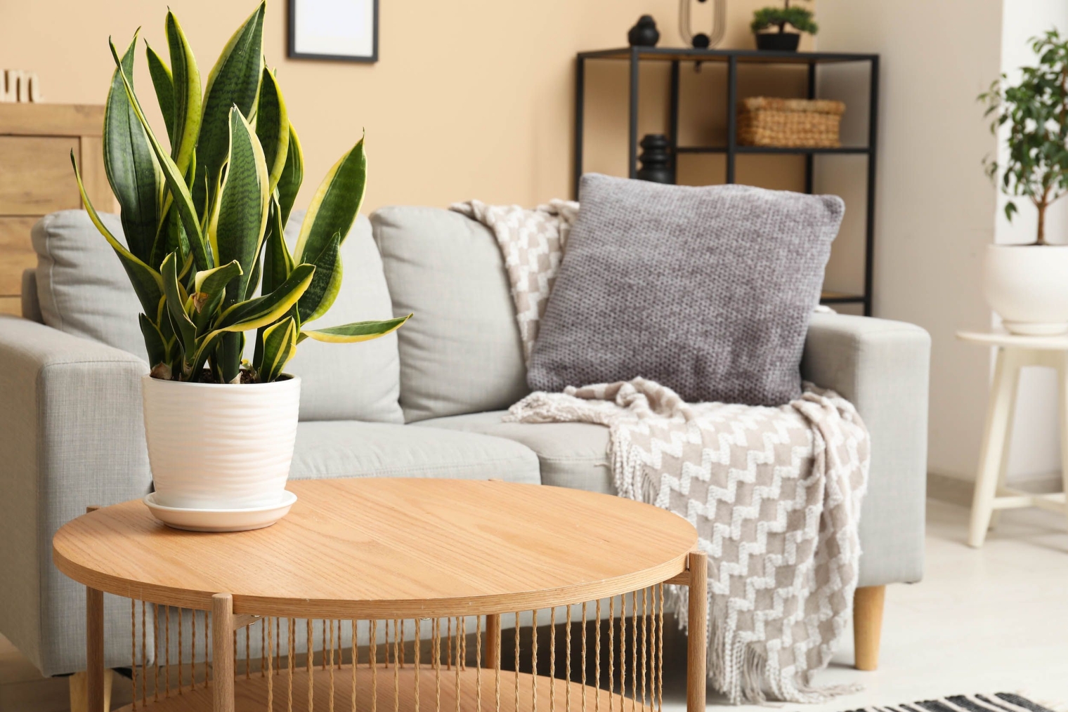 Living area apartments near houston the isla