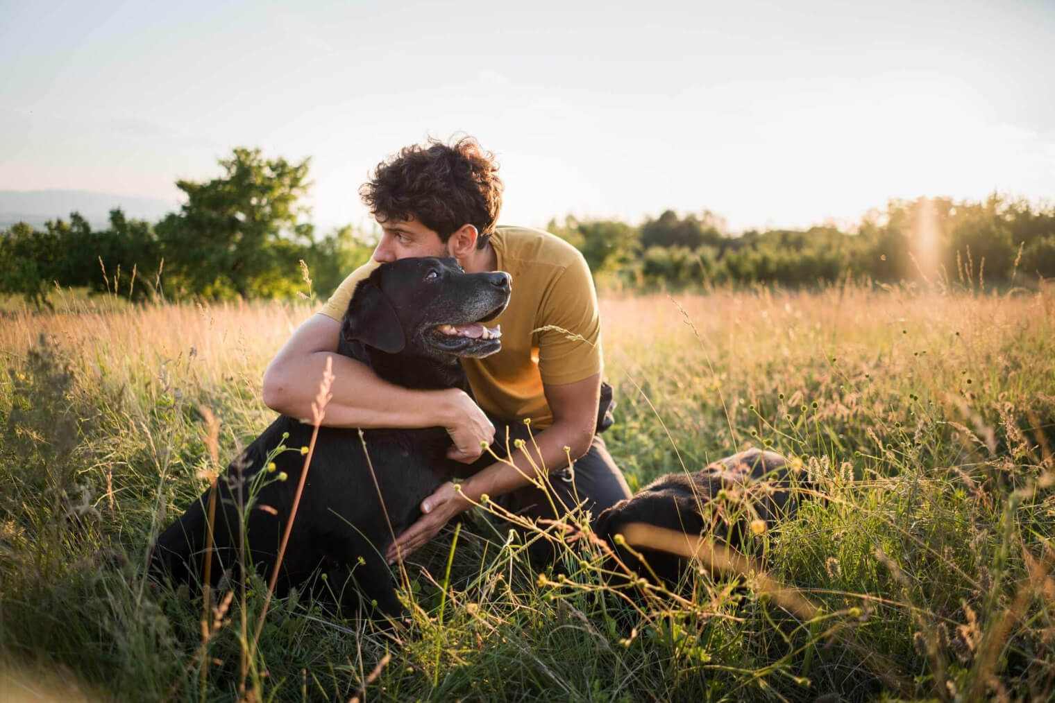 dog and owner at pet-friendly apartments near houston the isla
